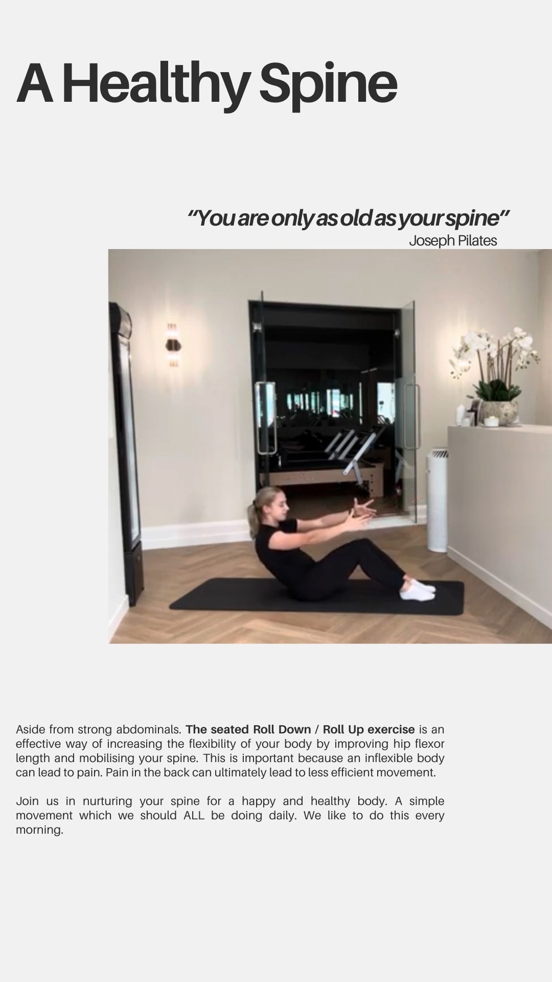 One Healthy Spine