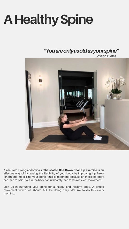 One Healthy Spine